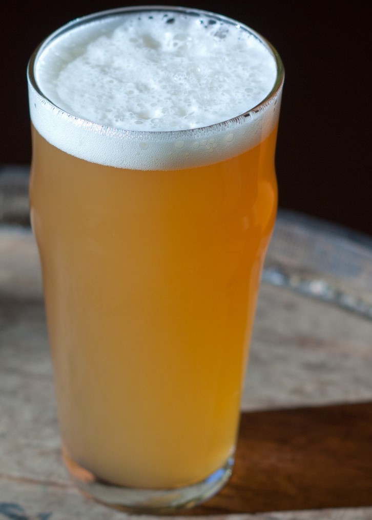 <h2>Unfiltered Beer and Allergies</h2>