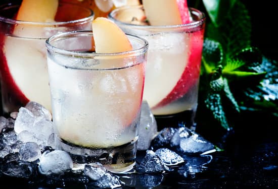 How Many Calories In Skinny Girl Vodka?