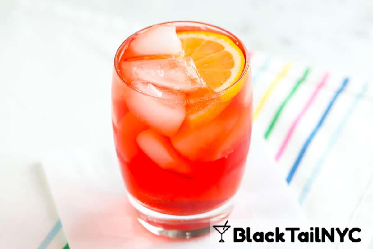 Sloe Gin Fizz Cocktail Recipe